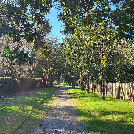 Rustique Proche Et Base Nautique, Stationnement Inclus - Fr-1-364-79 Appartamento *