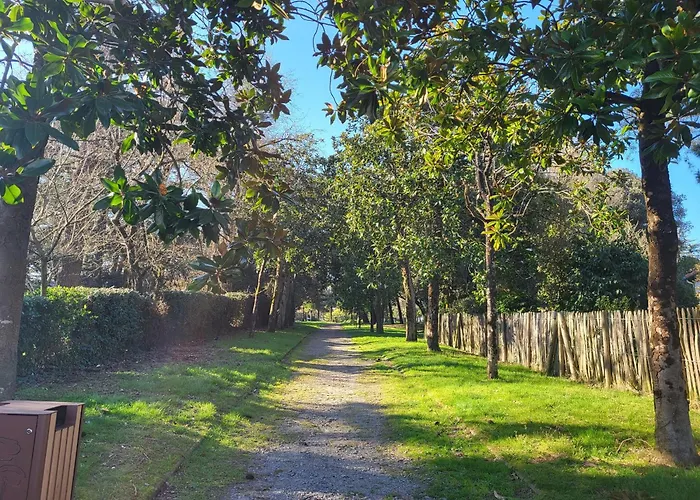 Rustique Proche Et Base Nautique, Stationnement Inclus - Fr-1-364-79 Διαμέρισμα *